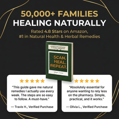 Scan Heal Repeat Book