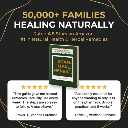 Scan Heal Repeat Book